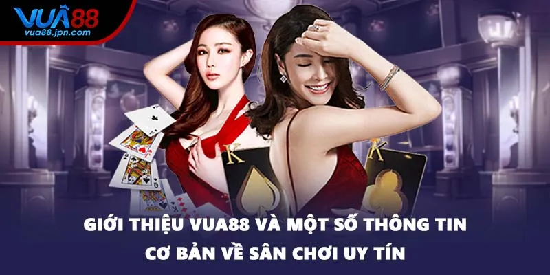 Giới thiệu VUA88 và một số thông tin cơ bản về sân chơi uy tín