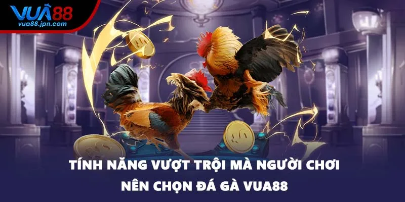 Tính năng vượt trội mà người chơi nên chọn đá gà VUA88